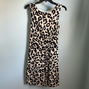 Loft Leopard Print Dress